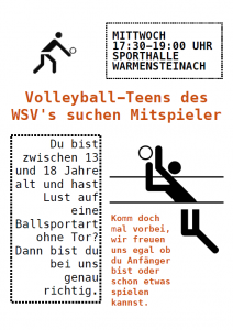 Plakat Volleyball